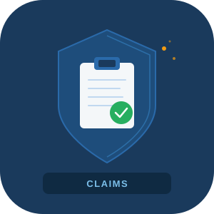 Claims Manager